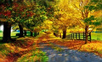 Cuento ambiental #3